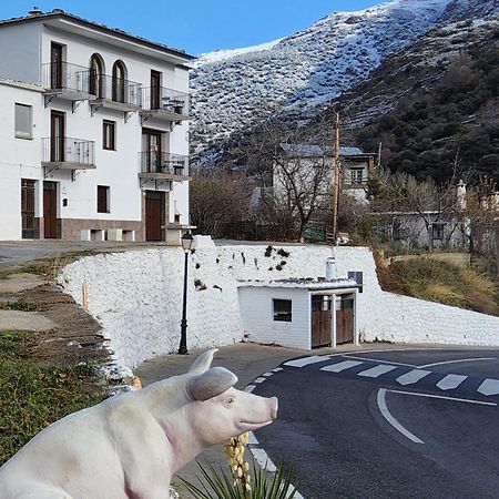 Alojamiento Rural Casa Clara La Pescaora Trevelez Luaran gambar