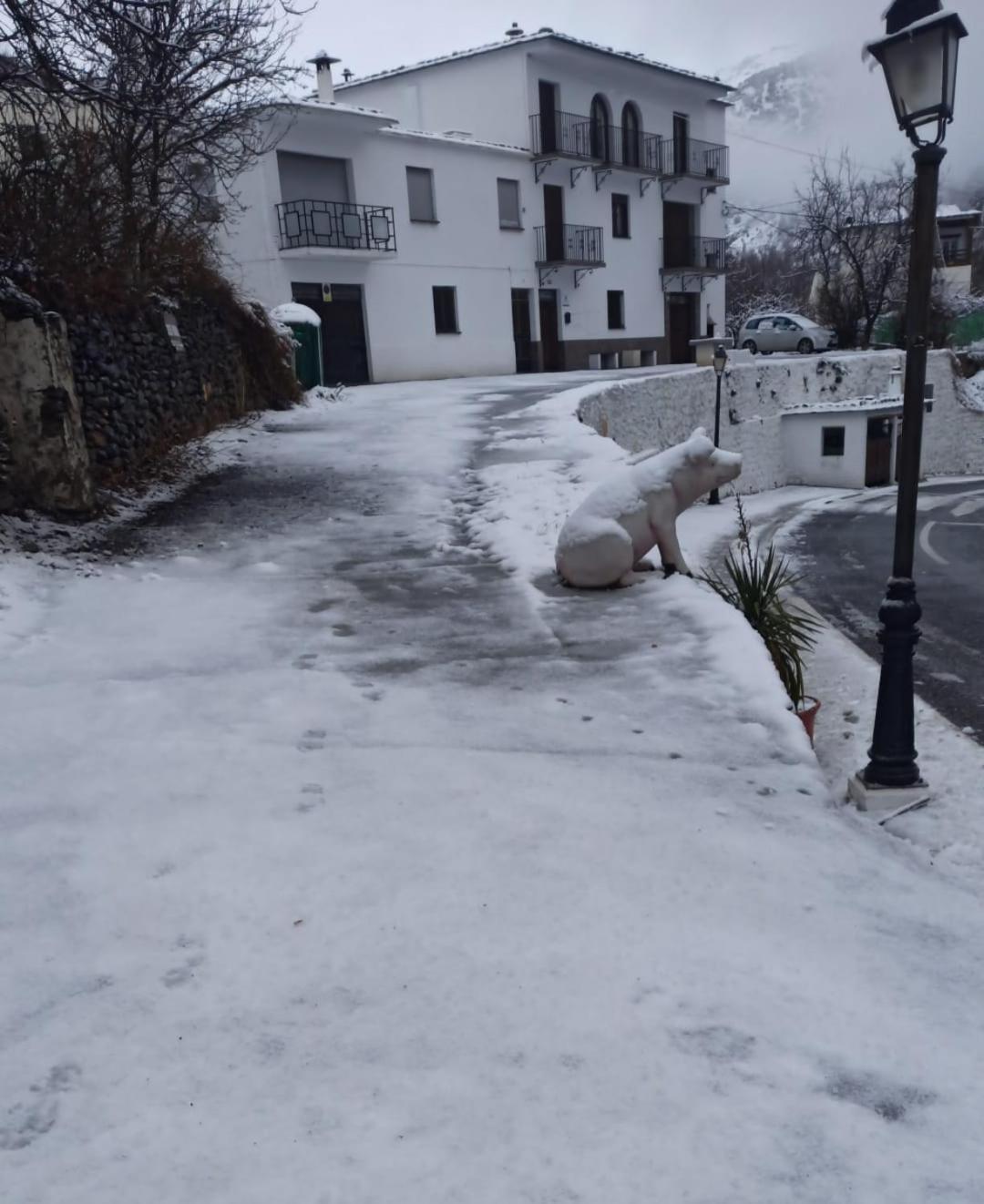 Alojamiento Rural Casa Clara La Pescaora Trevelez Luaran gambar